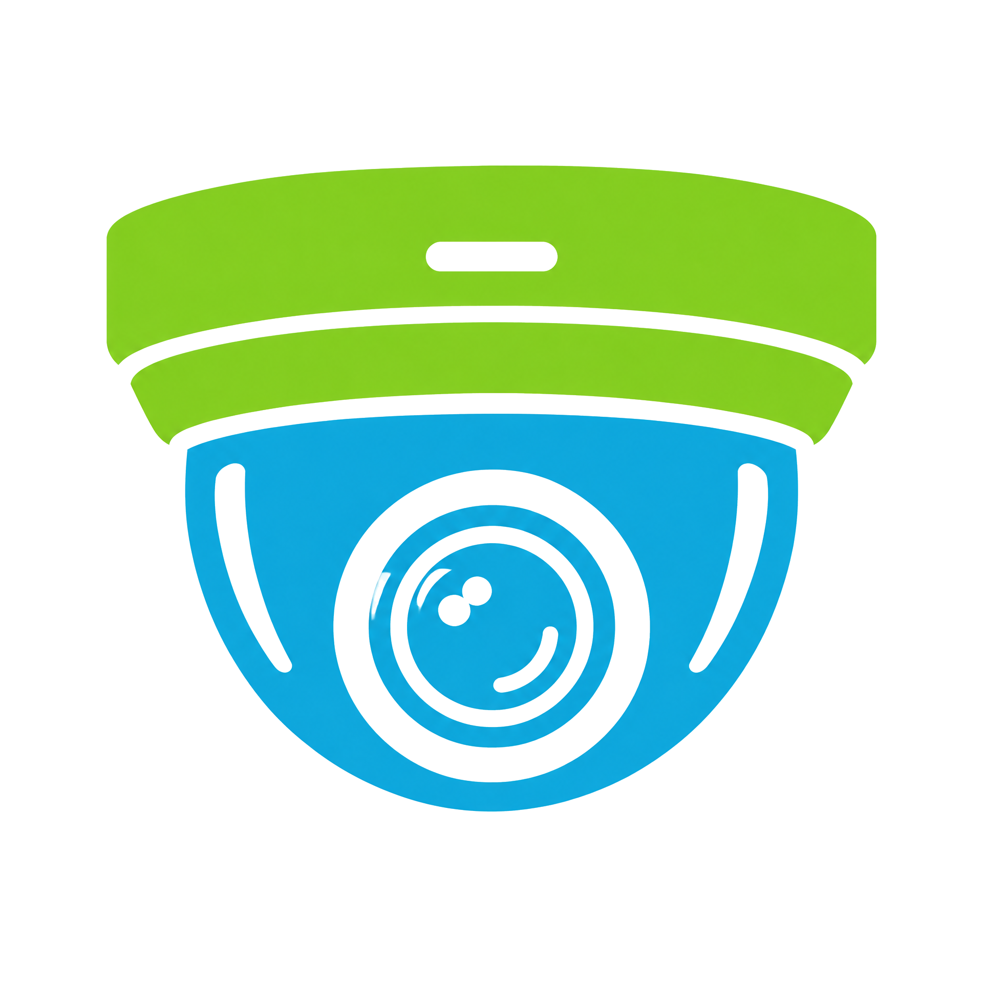 Vídeo Vigilancia